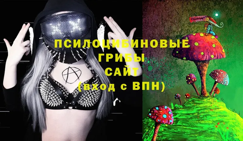 дарк нет телеграм  Бородино  Галлюциногенные грибы Magic Shrooms 